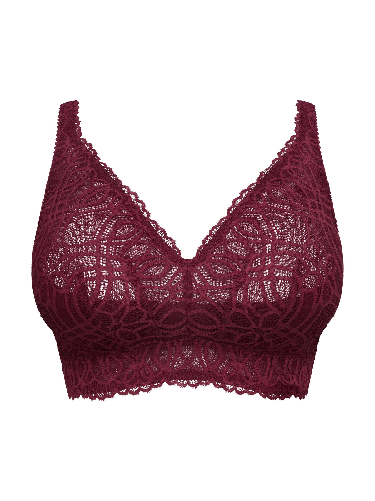 Salerno 0163536