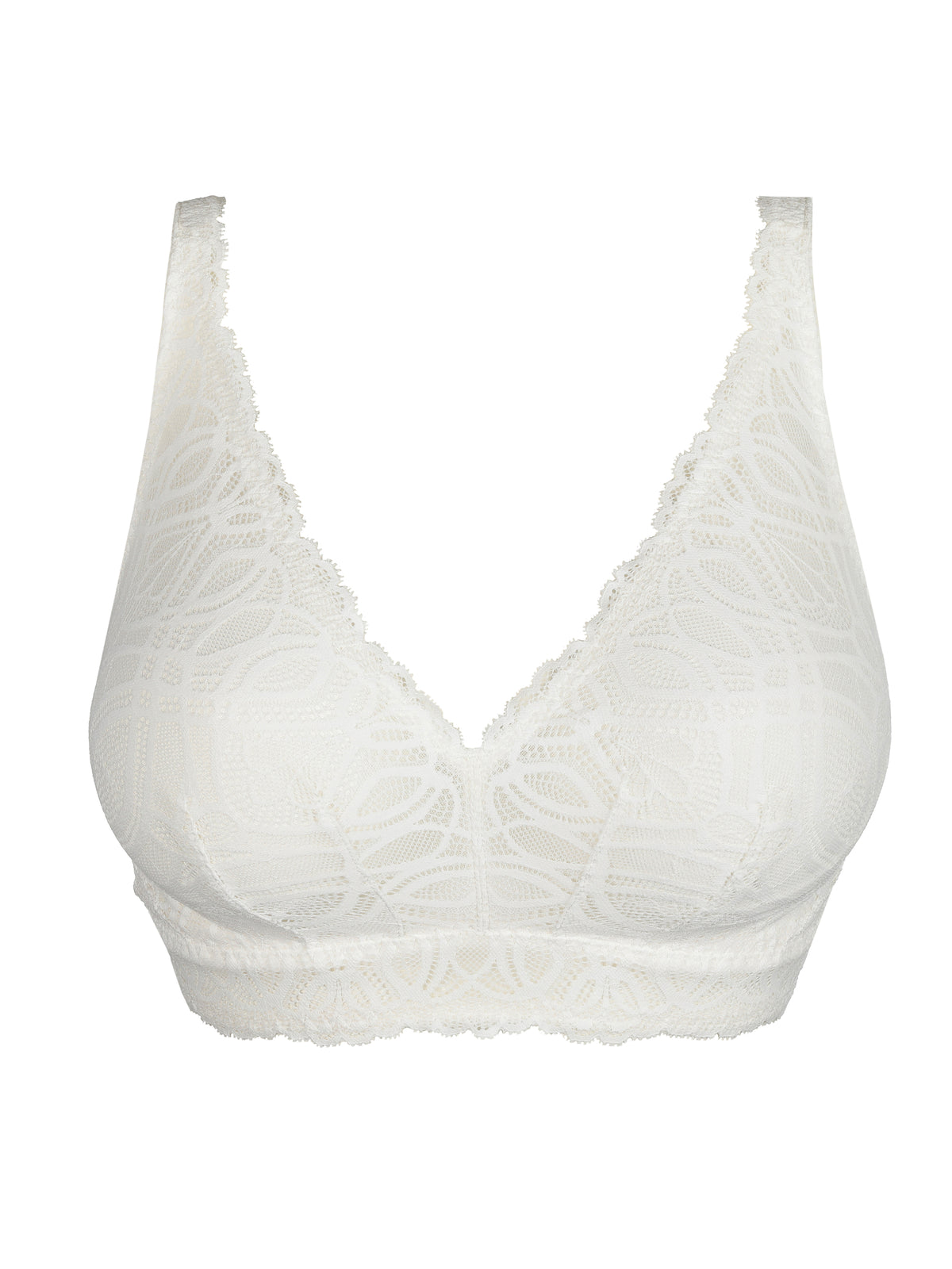 Salerno 0163536