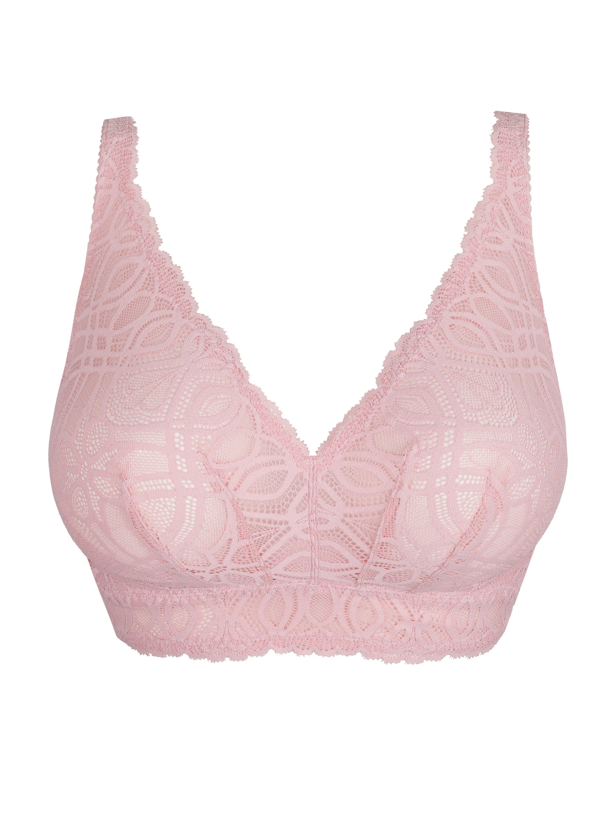 Salerno 0163536