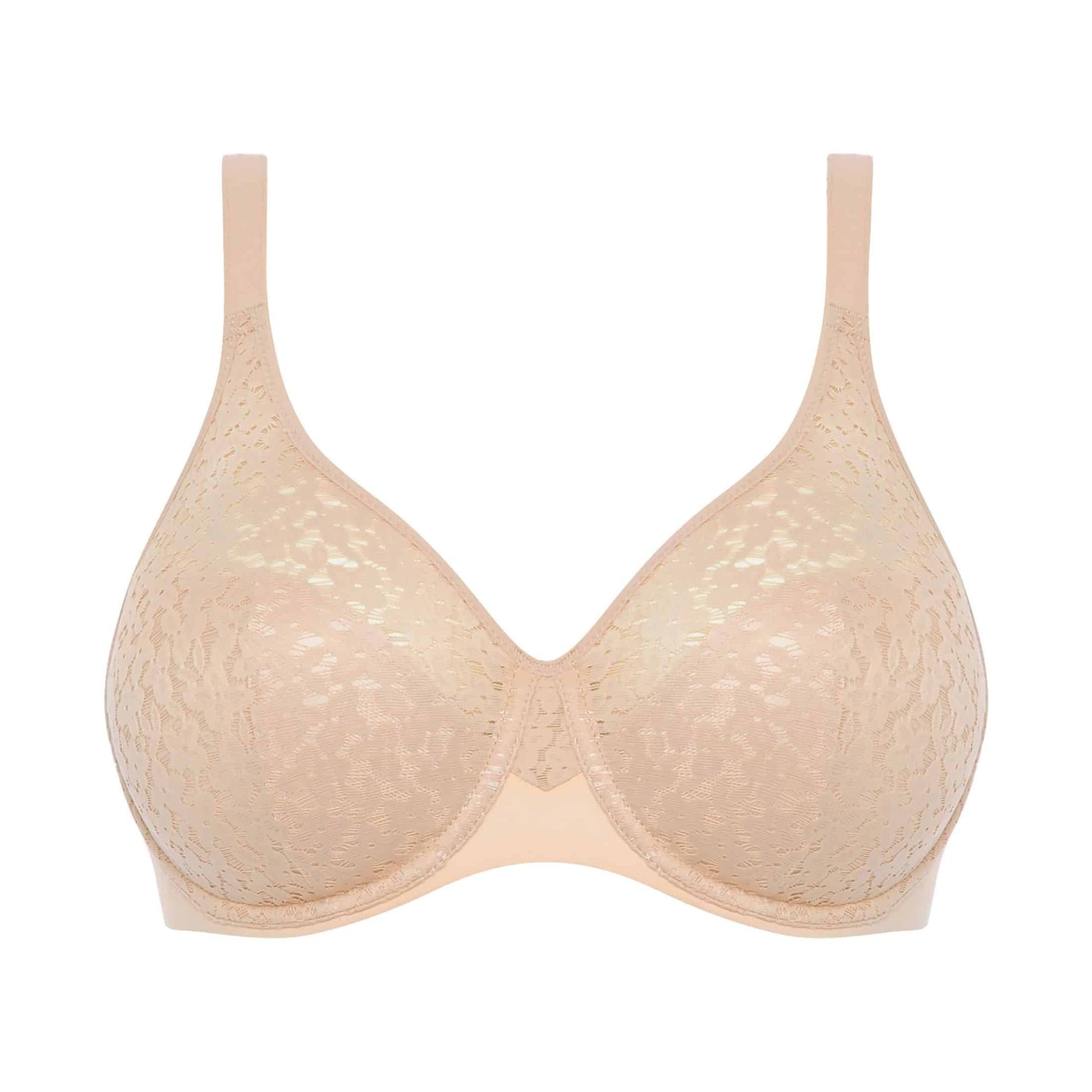 Norah C13F1 - Rose Tendre