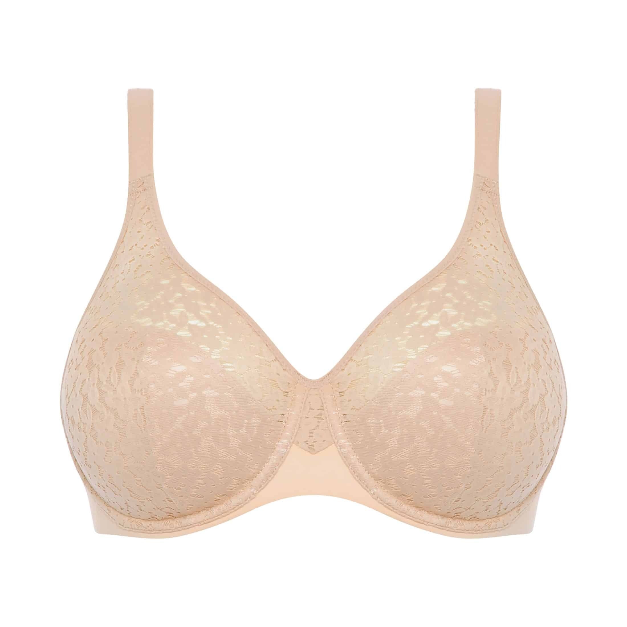 Norah C13F1 - Rose Tendre