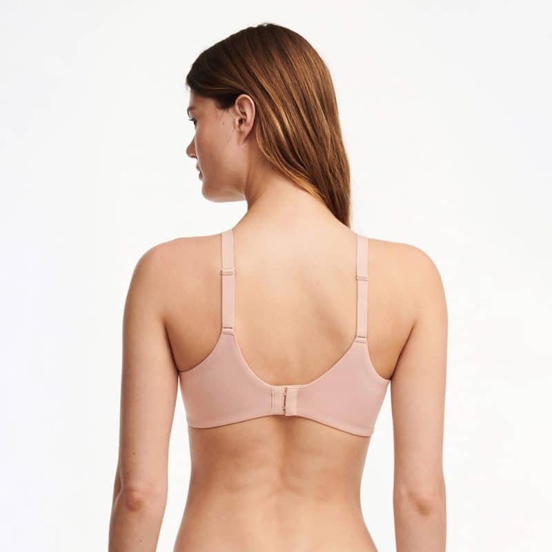 Norah C13F1 - Rose Tendre