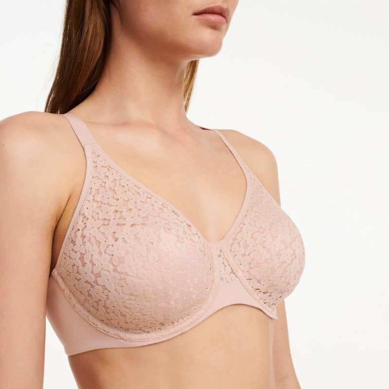 Norah C13F1 - Rose Tendre