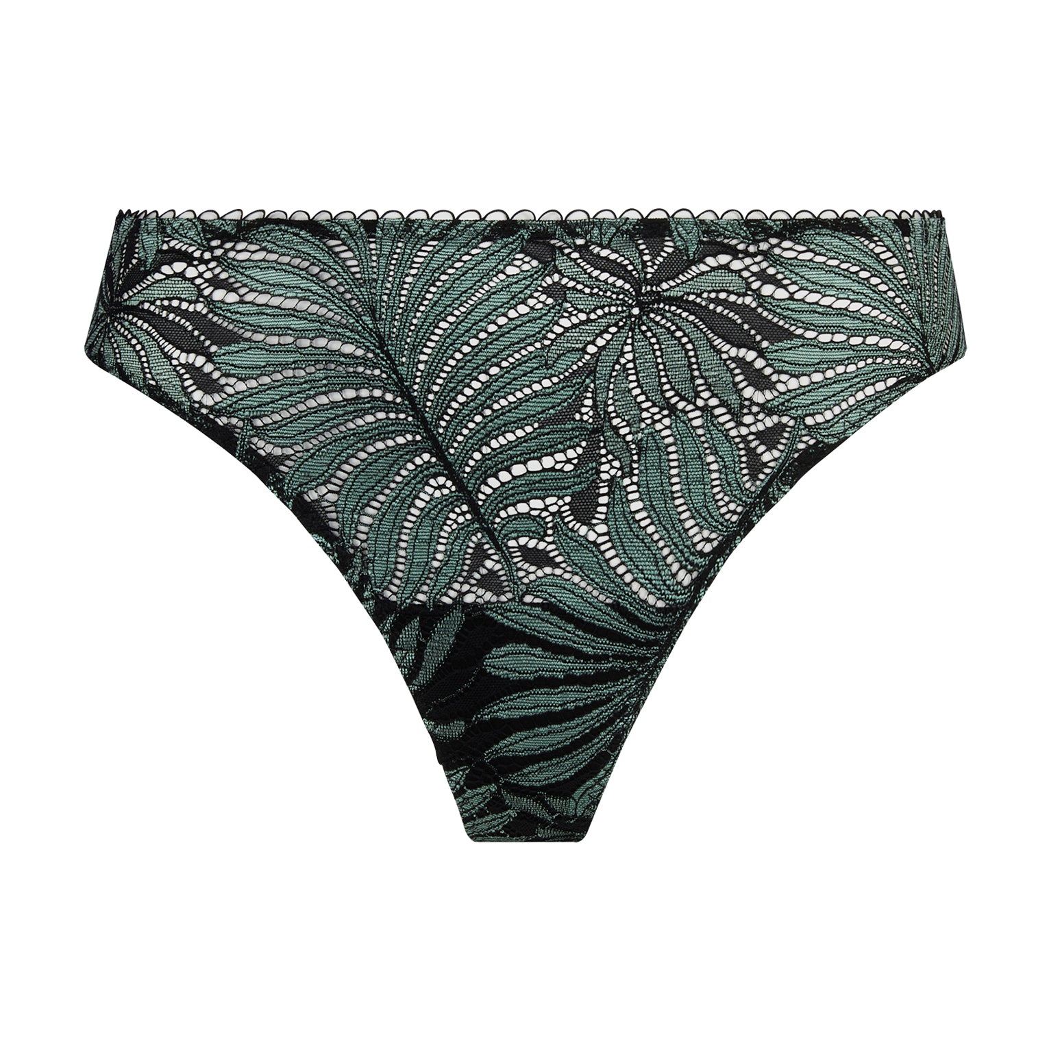 Jungle du Soir ECJ0044 VM