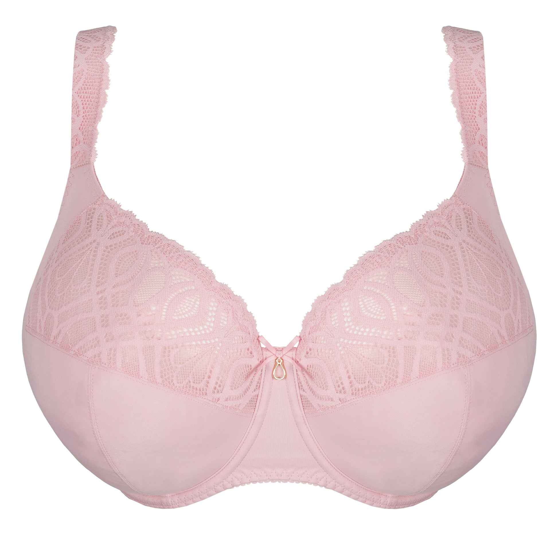 Salerno 0163535 - Spring Rose