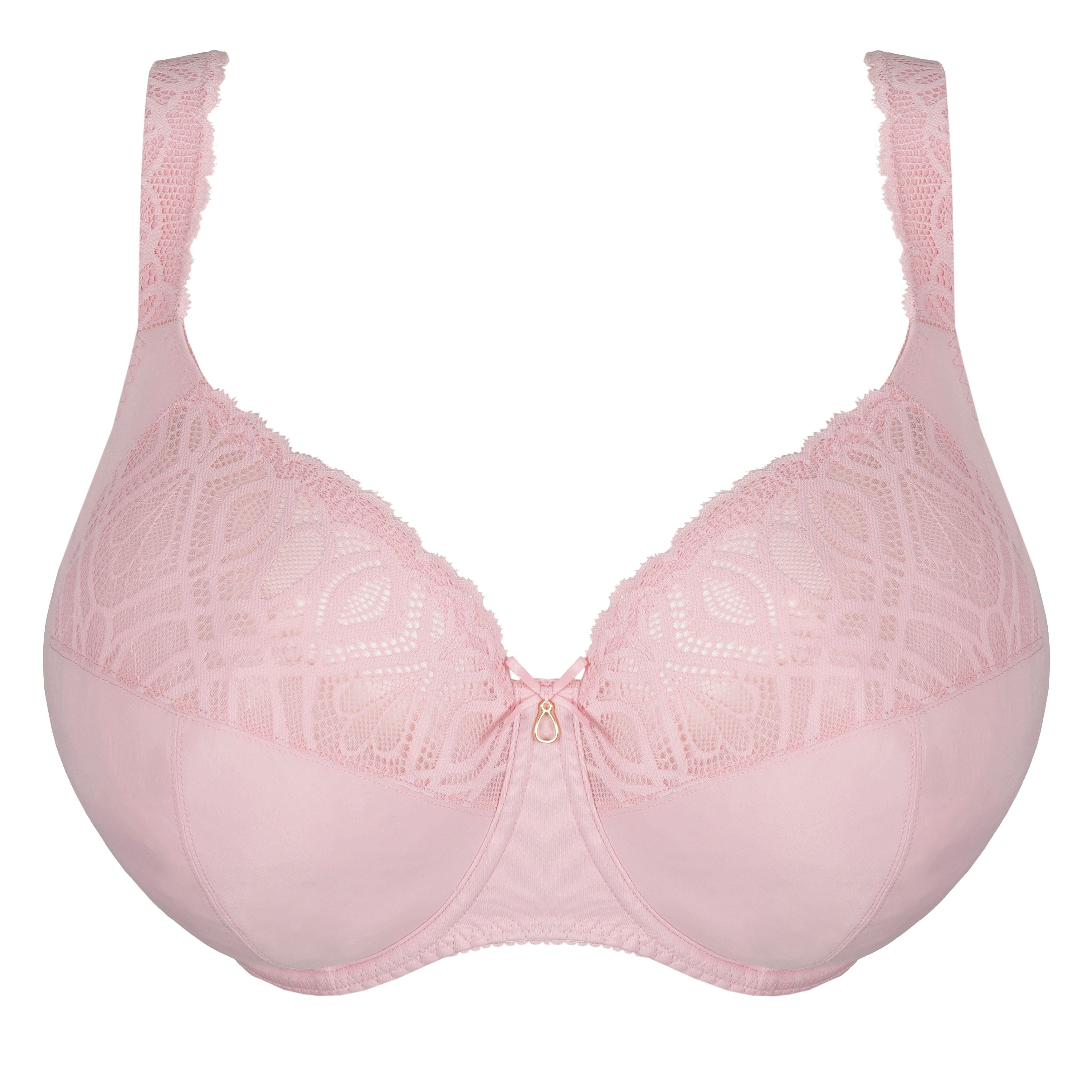 Salerno 0163535 - Spring Rose