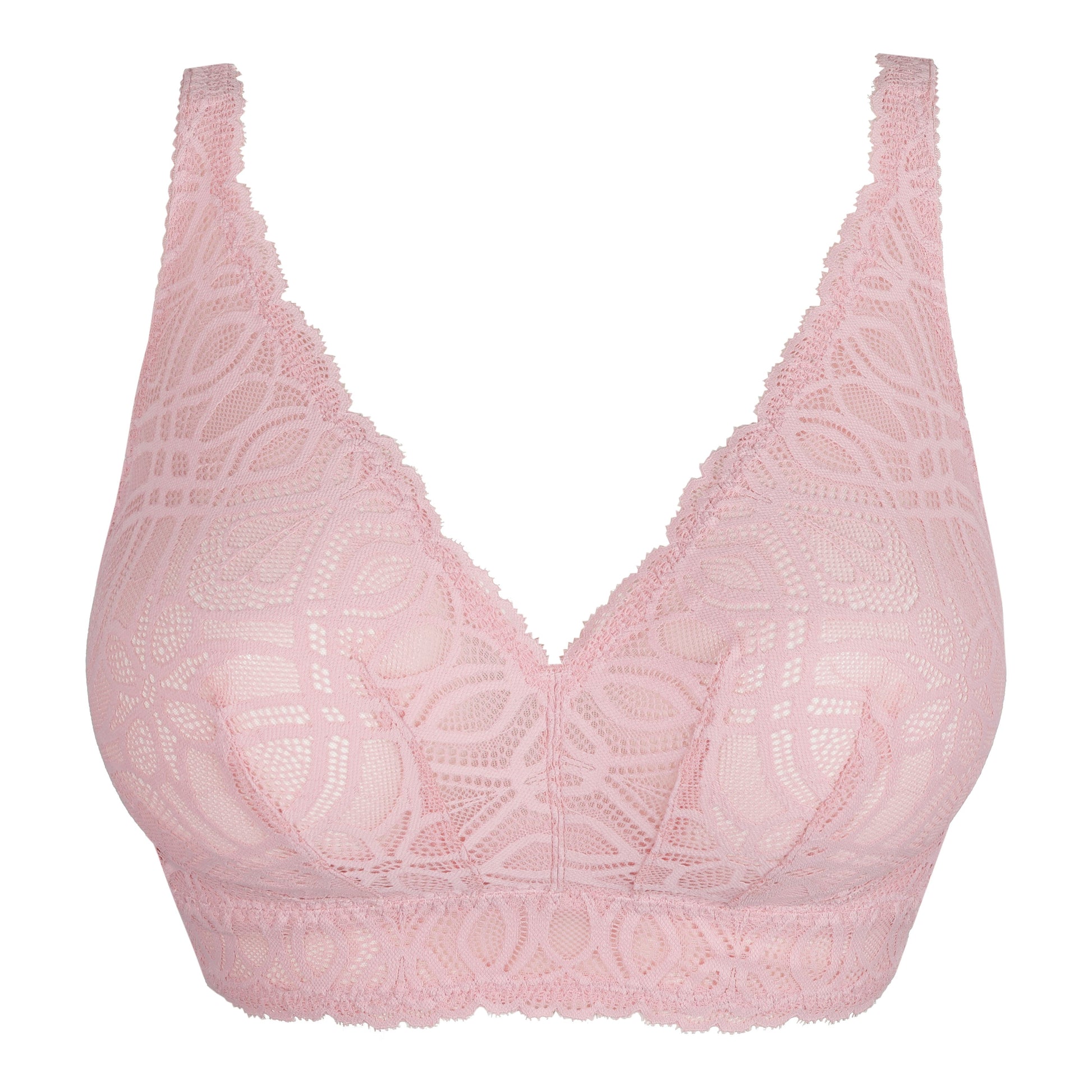 Salerno 0163536 - Spring Rose