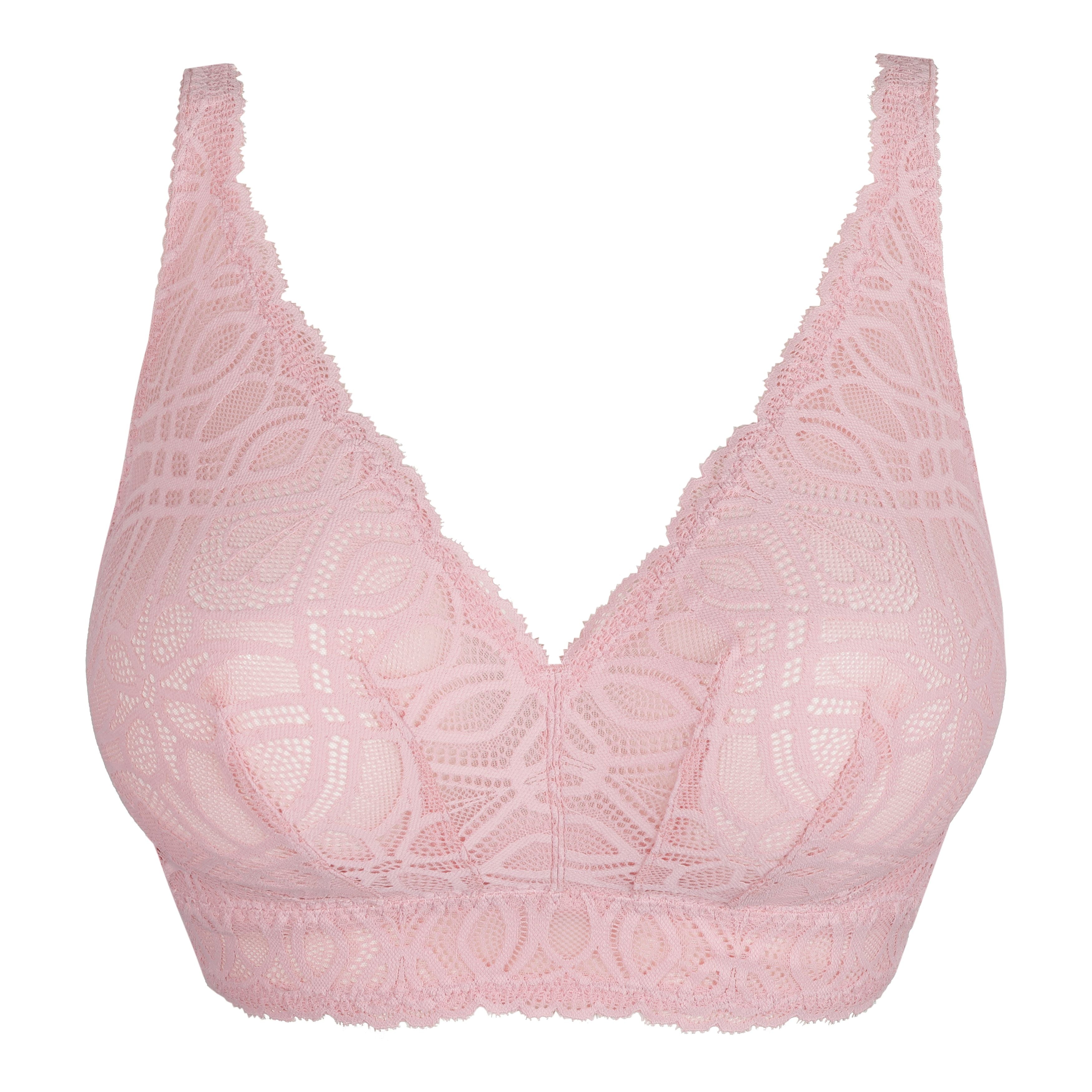 Salerno 0163536 - Spring Rose