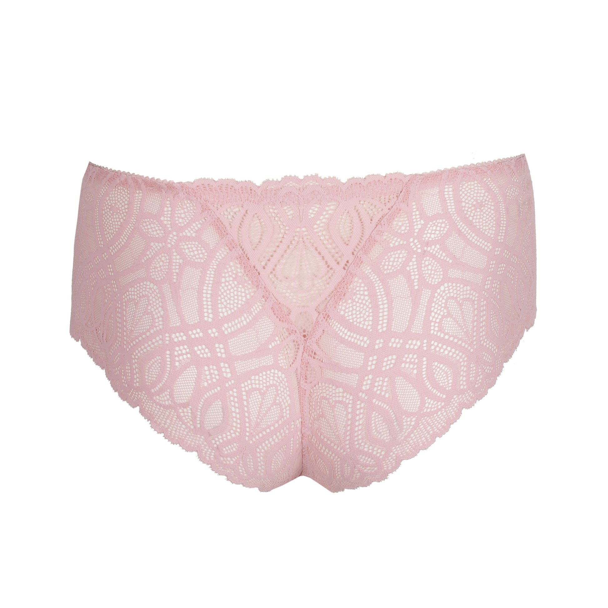 Salerno 0663531 - Spring Rose