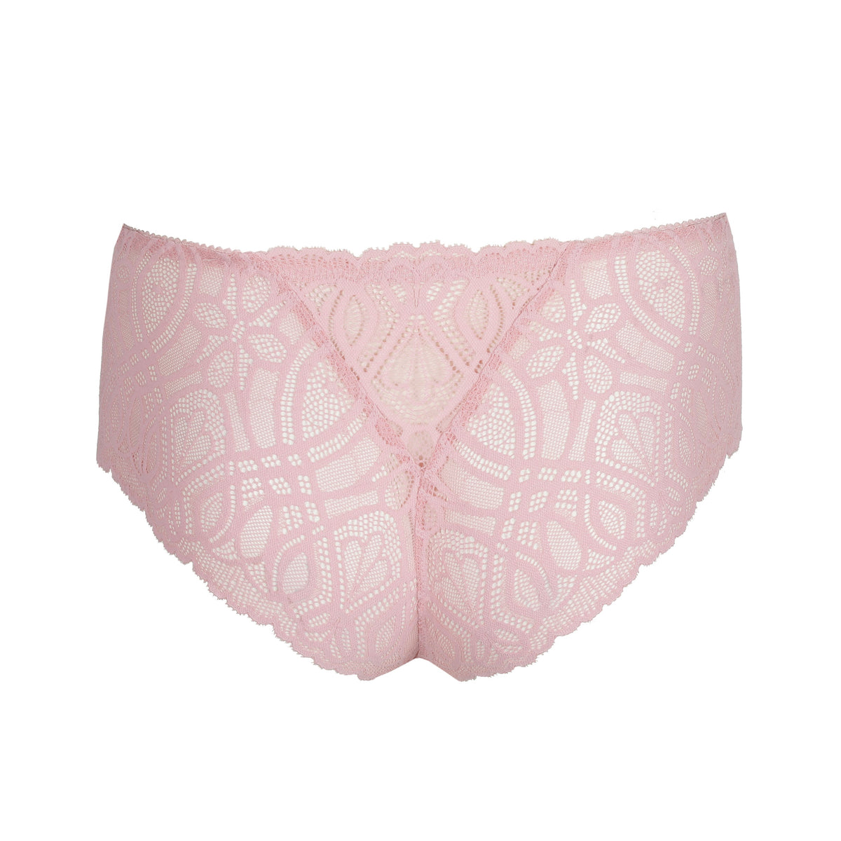 Salerno 0663531 - Spring Rose