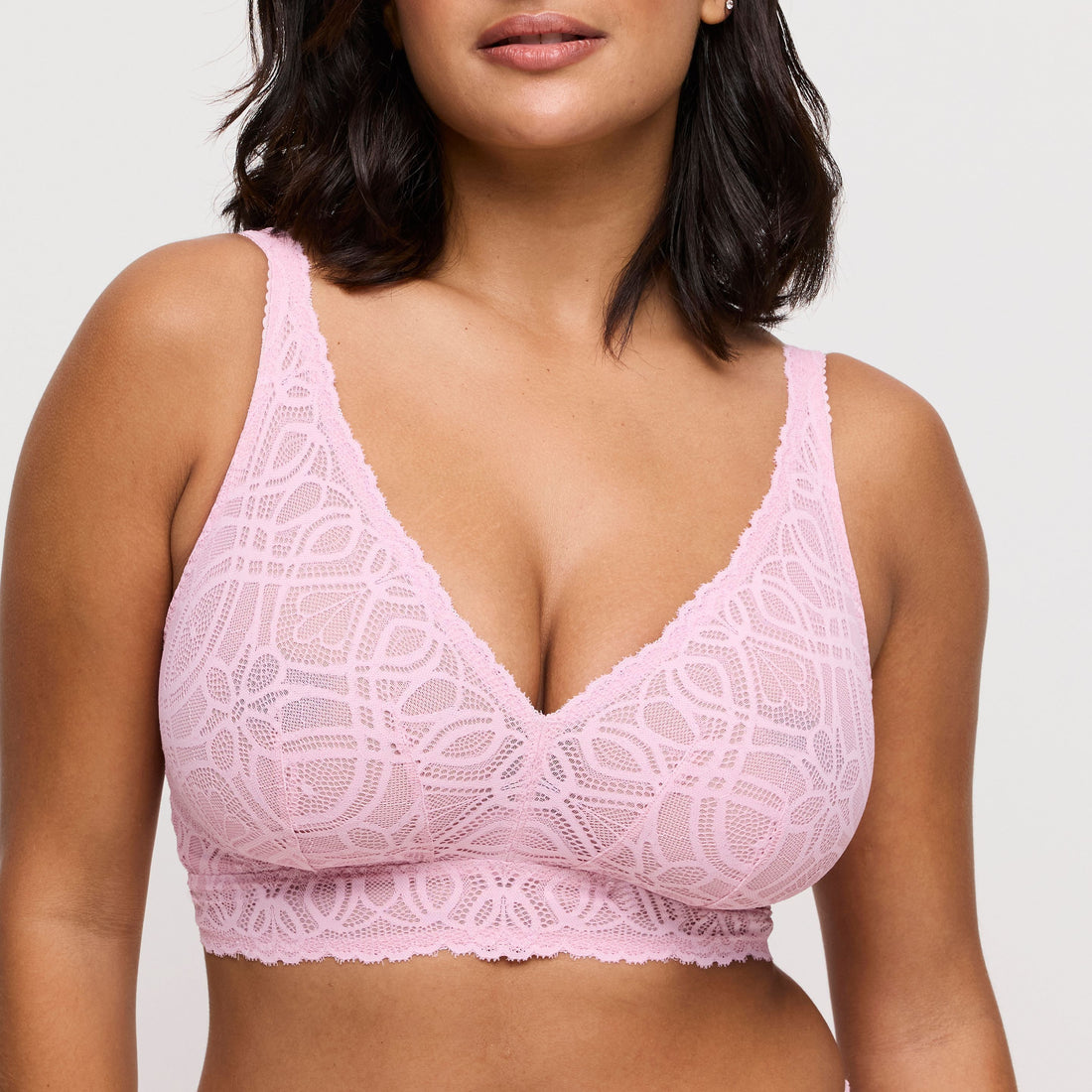 Salerno 0163536 - Spring Rose