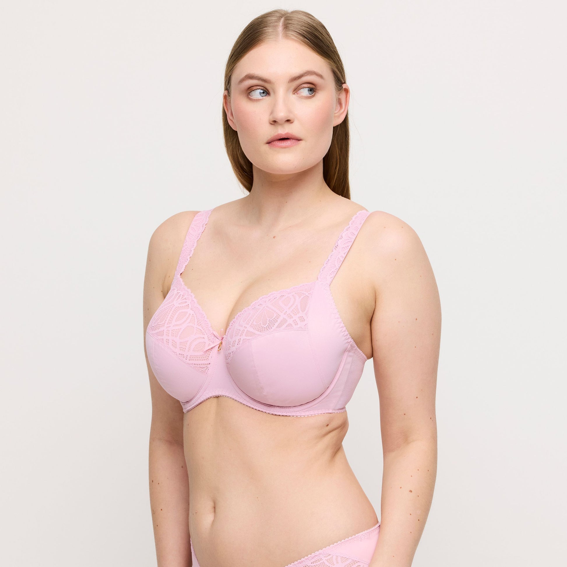 Salerno 0163530 - Spring Rose