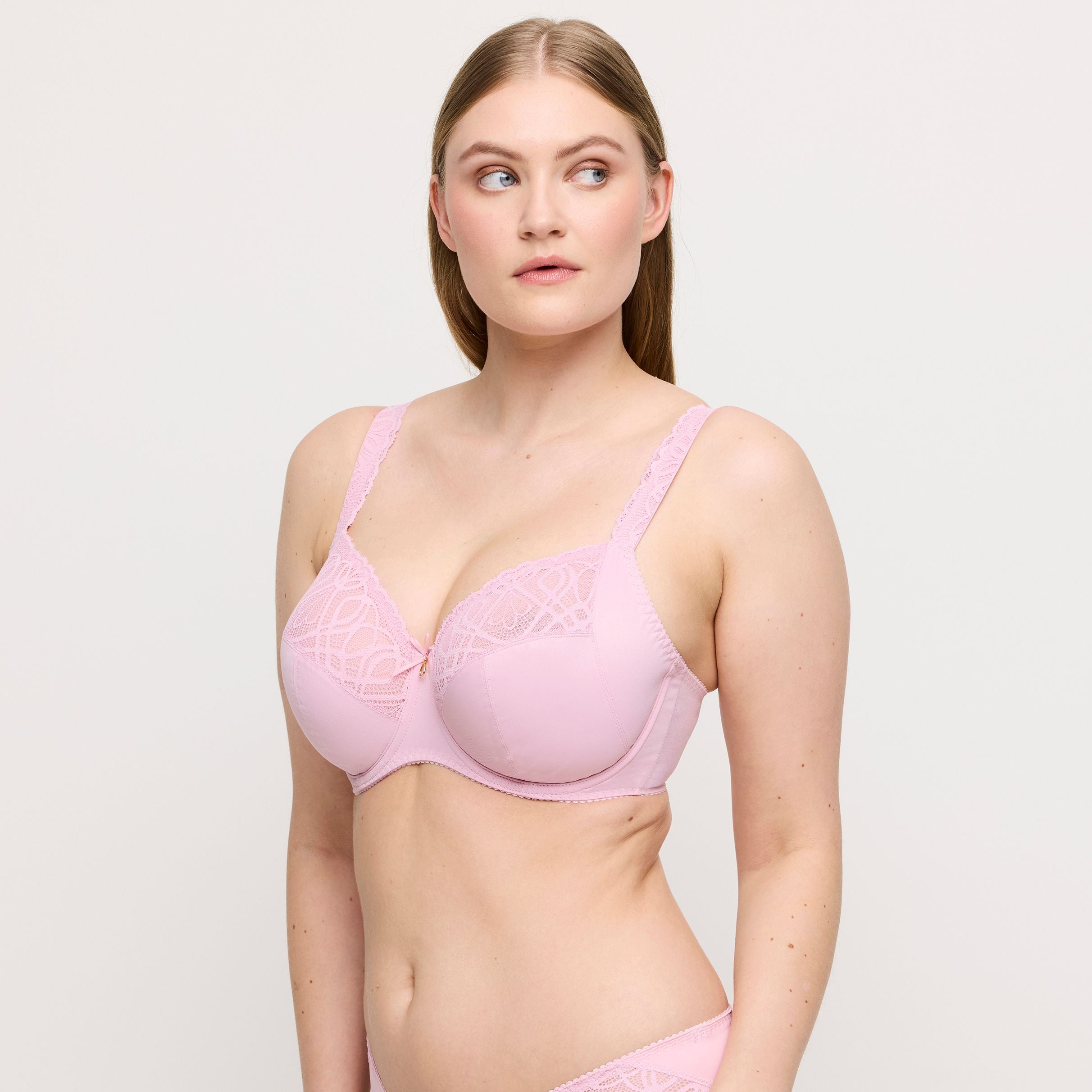 Salerno 0163530 - Spring Rose