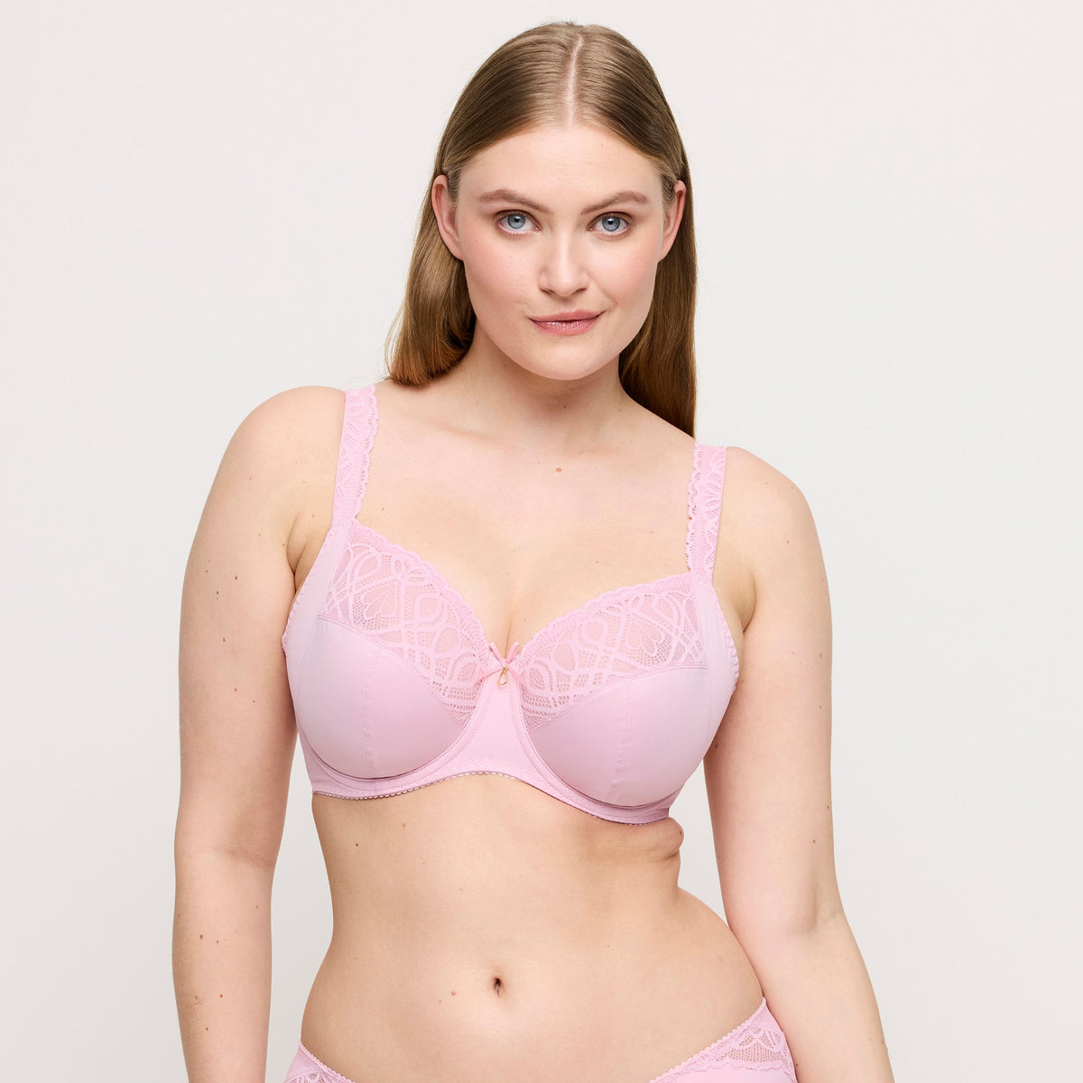 Salerno 0163530 - Spring Rose