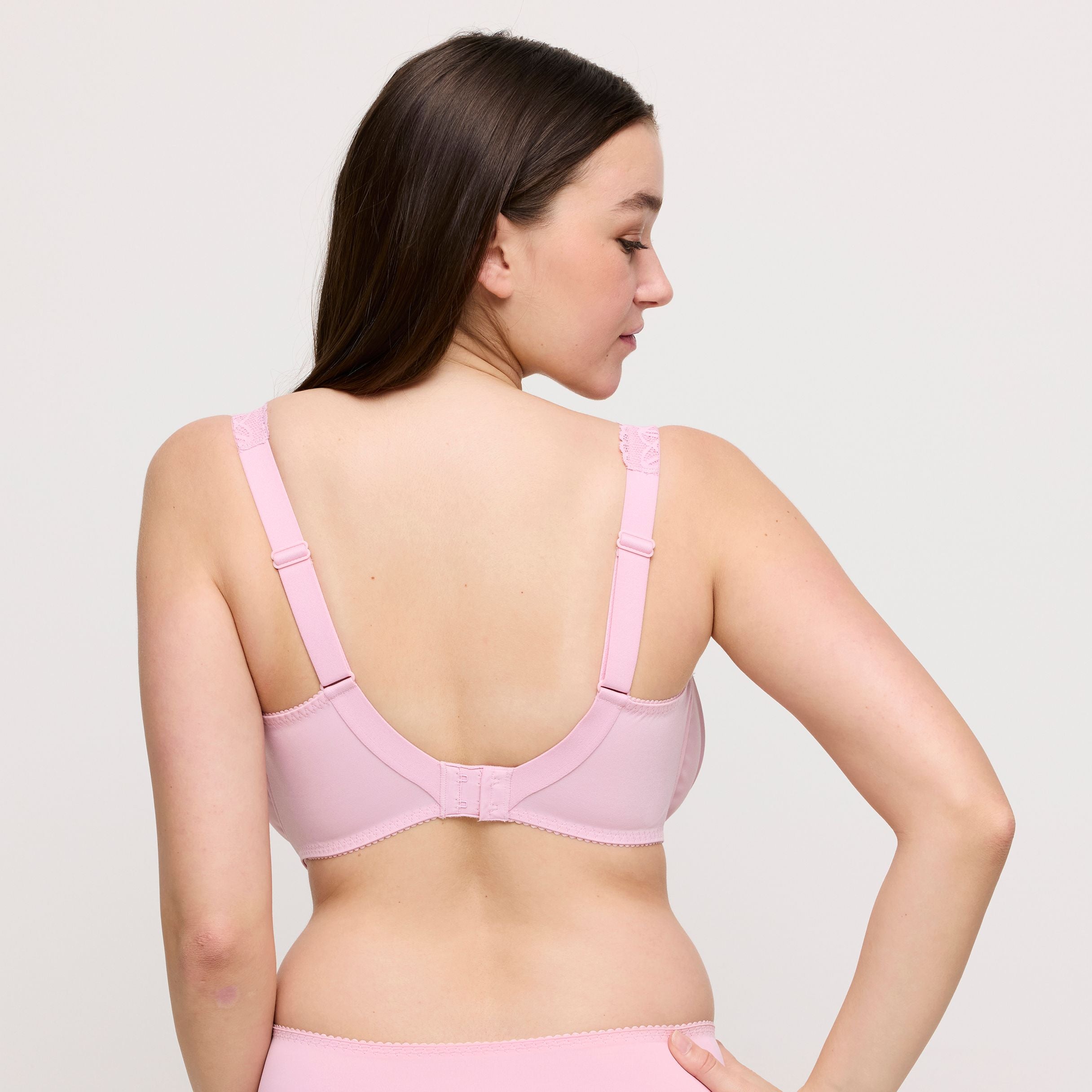 Salerno 0163535 - Spring Rose