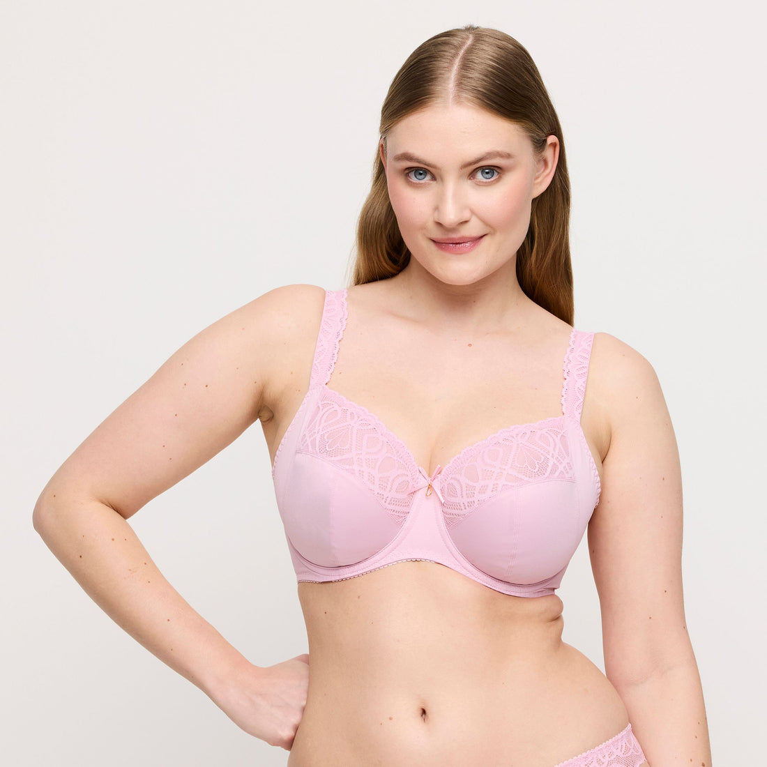 Salerno 0163530 - Spring Rose