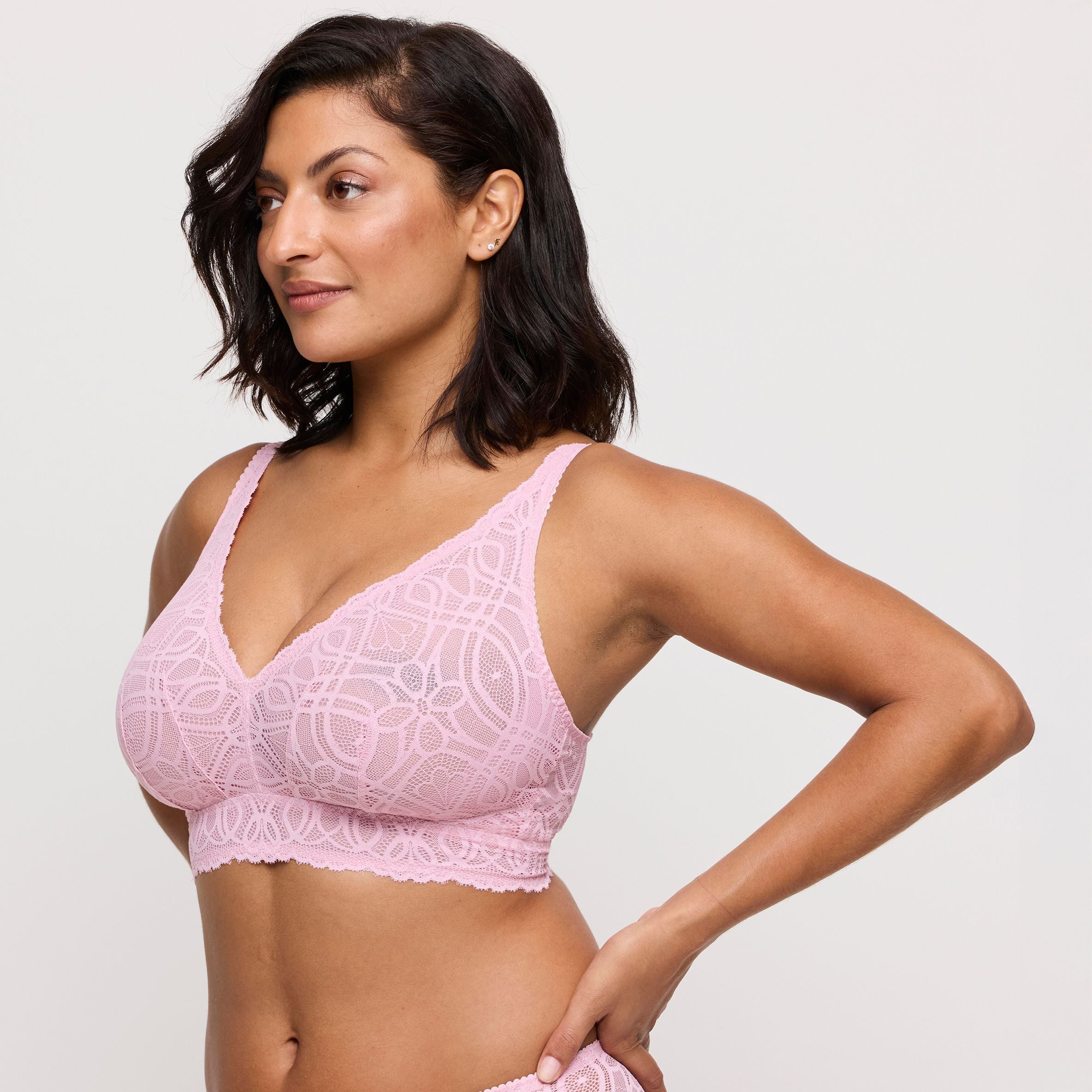 Salerno 0163536 - Spring Rose
