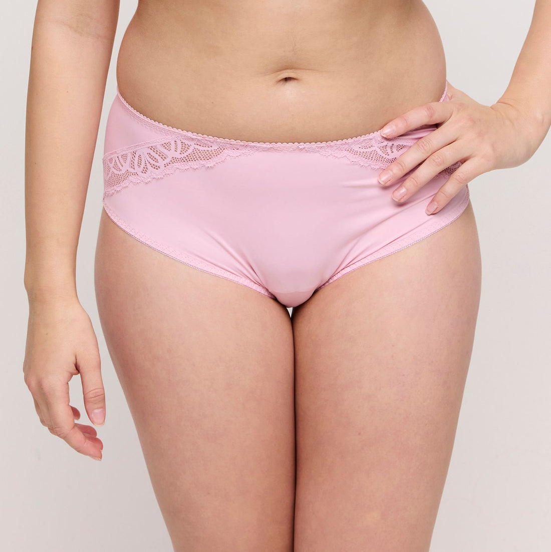 Salerno 0563531 - Spring Rose