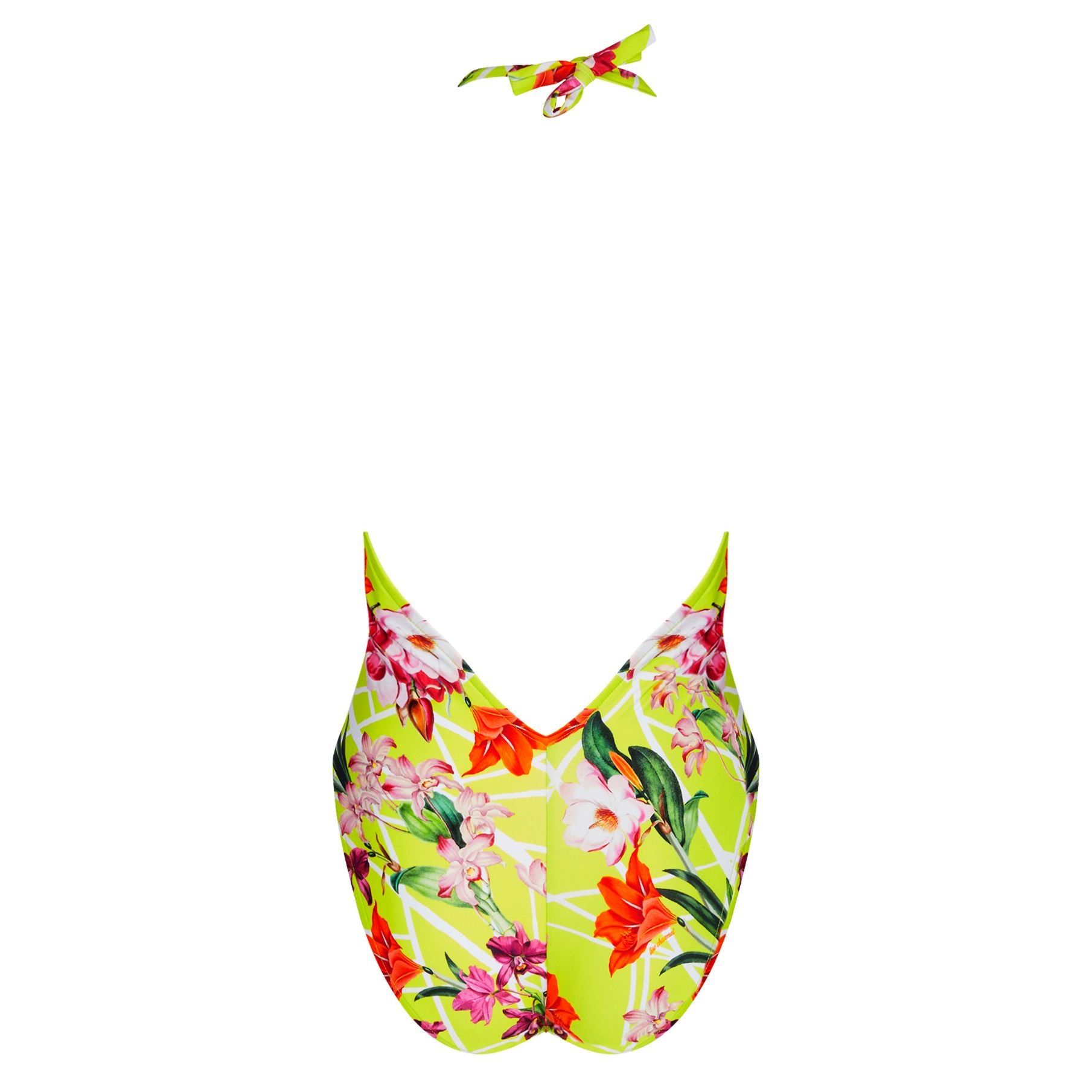 Fleurs Splendeur ABB9793 SL