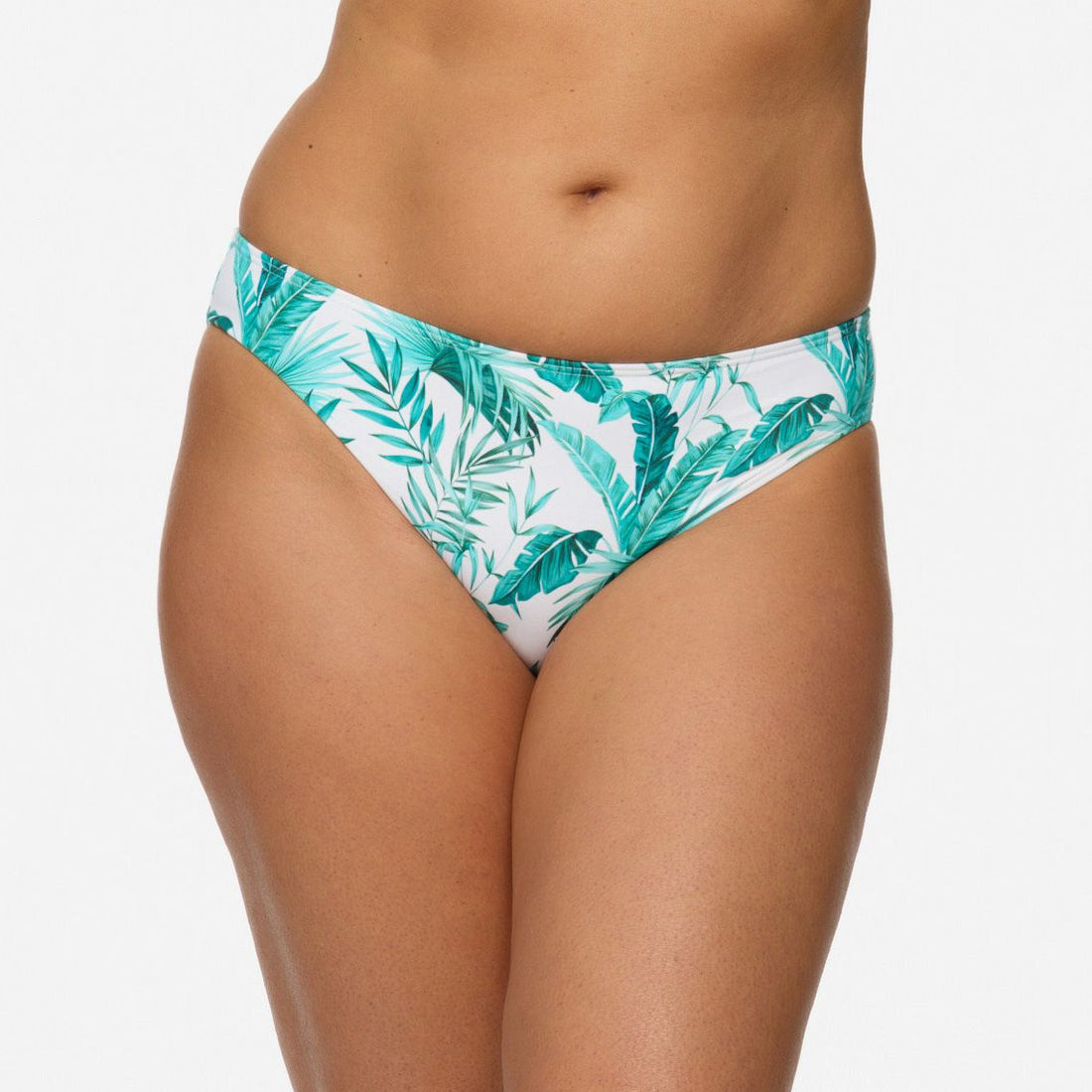 Dolce Palma 31022 23