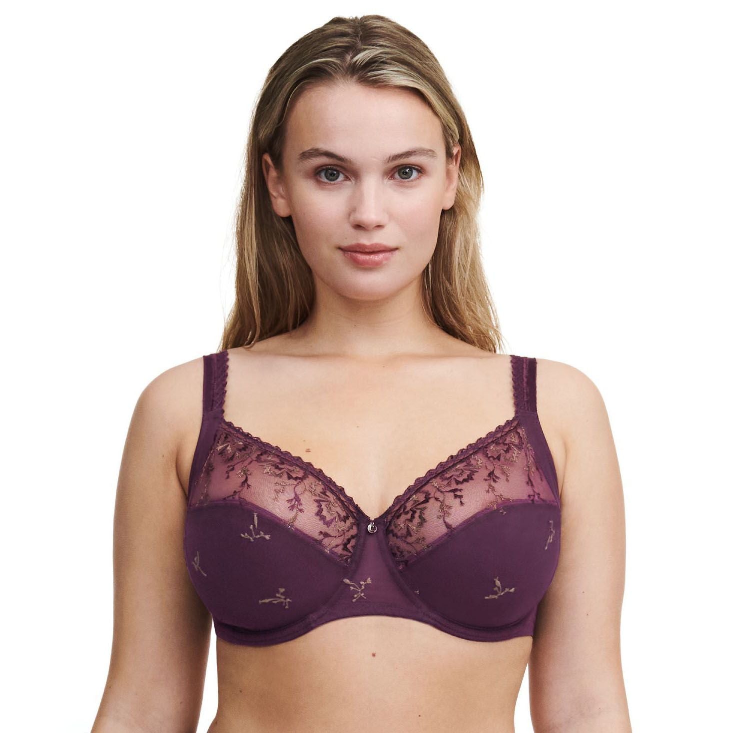 Every Curve C16B1 - Aubergine
